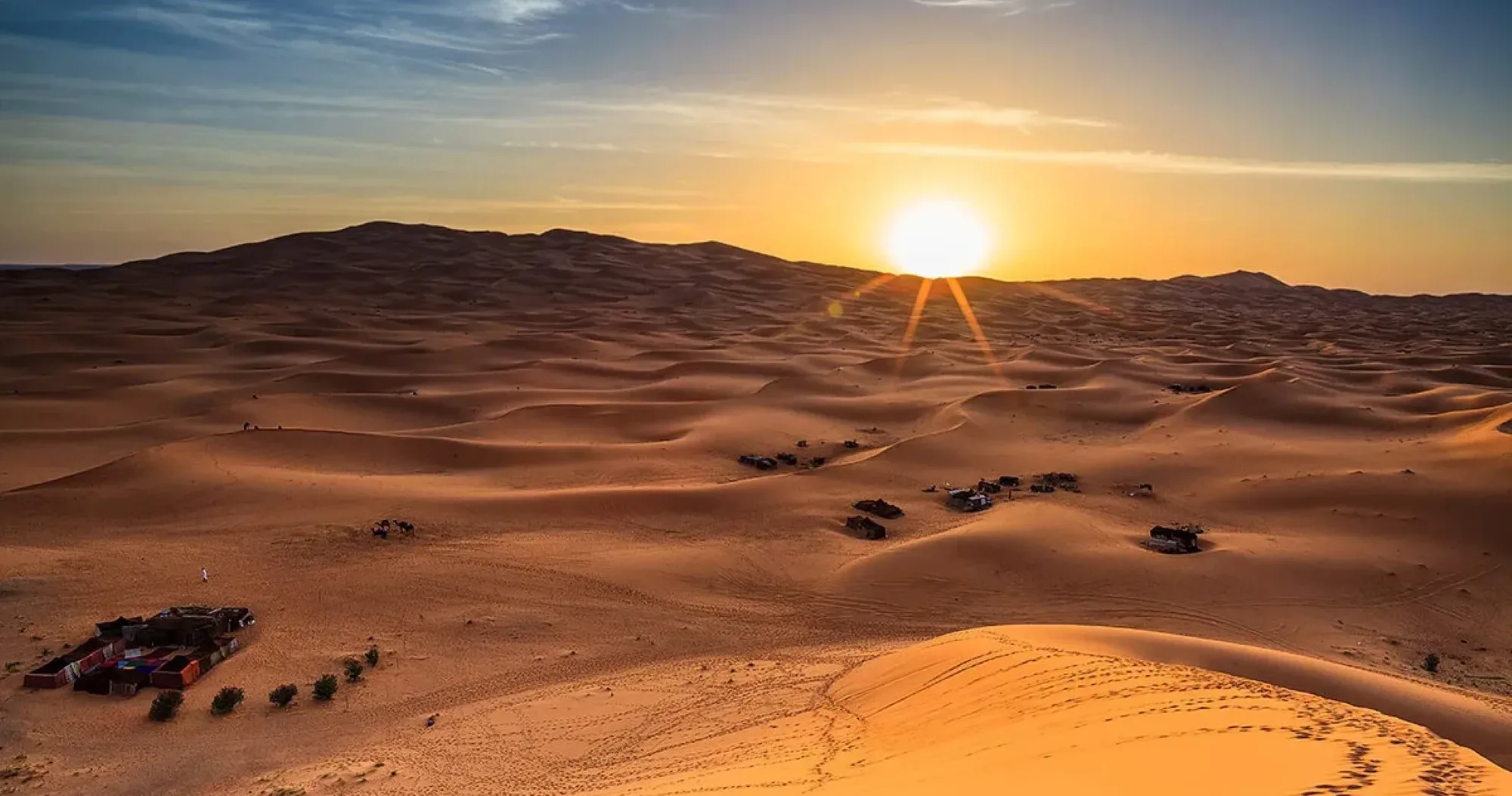 Sunset Desert Safaris You’ll Never Forget