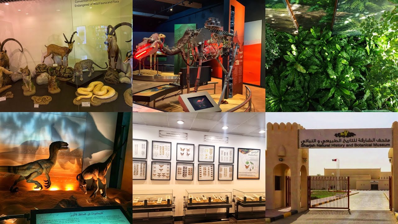 Sharjah Natural History Museum